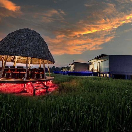 Villa Blue Wild Tissamaharama Exterior foto