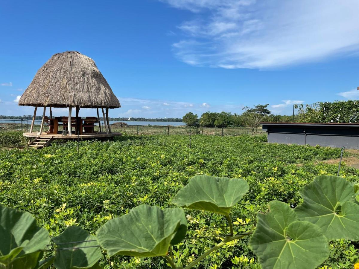 Villa Blue Wild Tissamaharama Exterior foto