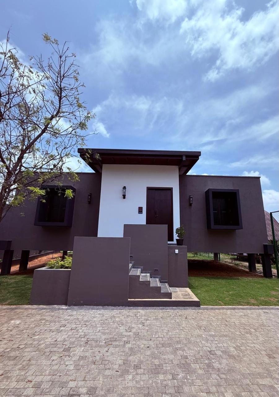 Villa Blue Wild Tissamaharama Exterior foto